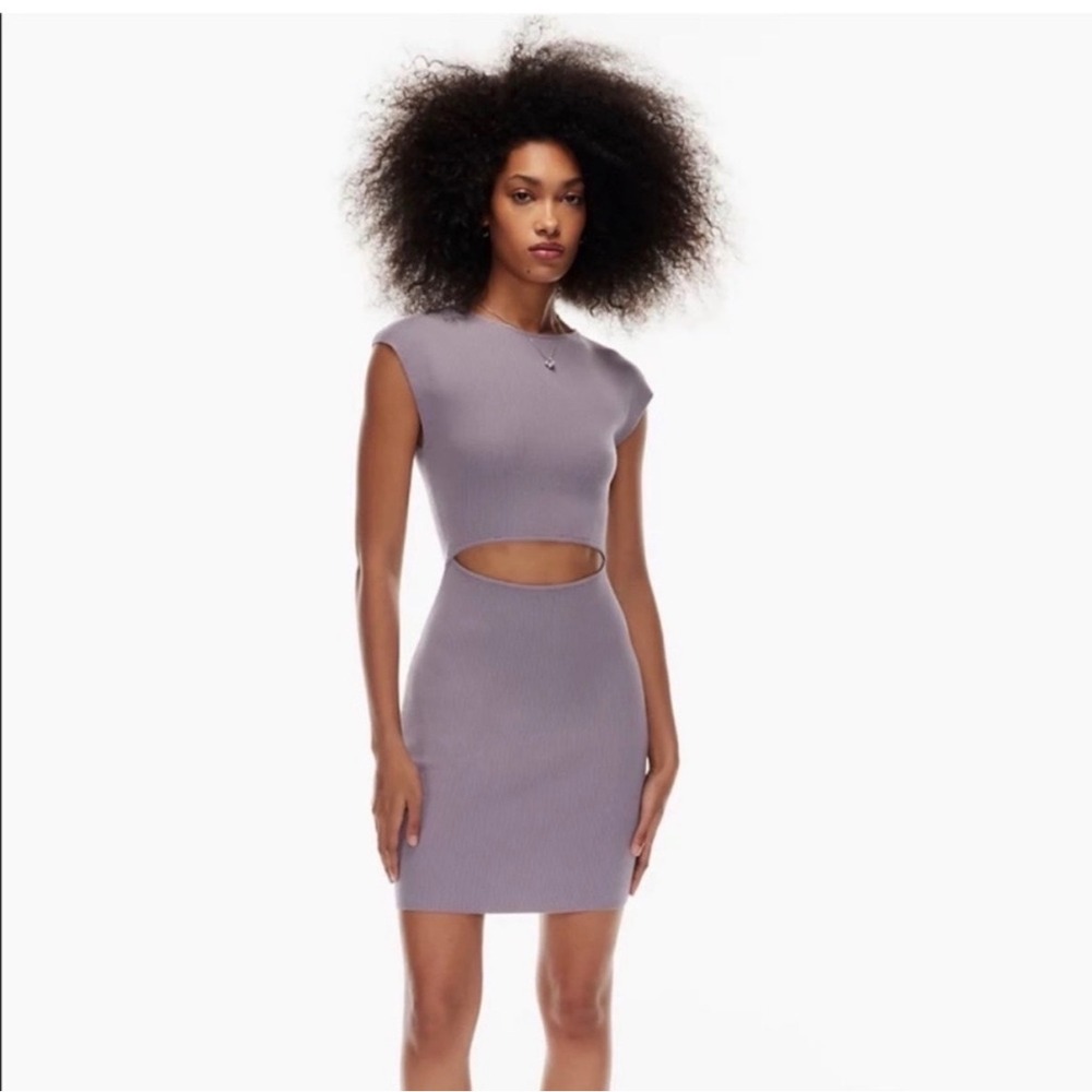 J14 Wilfred Free Aritzia Cut-Out‎ Knit Mini Dress Purple
